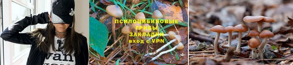 прущая мука Балабаново