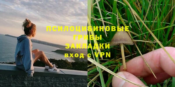 Альфа ПВП Протвино