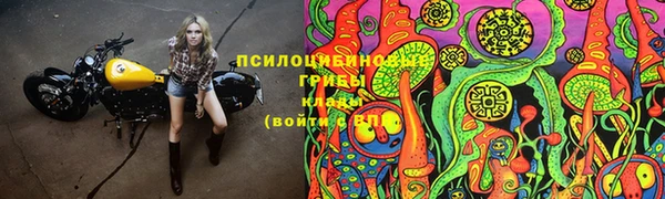 Альфа ПВП Протвино