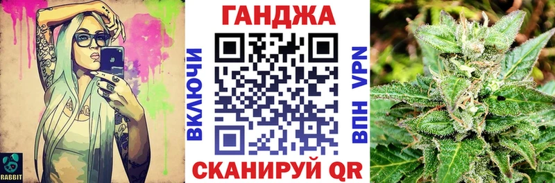 Бошки марихуана планчик  дарнет шоп  Новоржев 